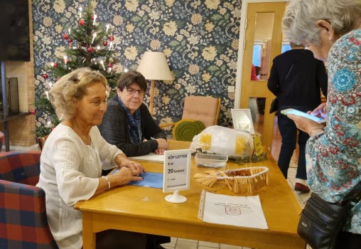 230109 Månadsmöte med Karin Reibring