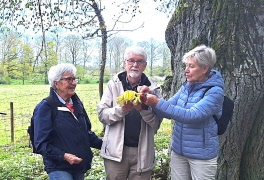 Frilufsarnas 200:e promenad
