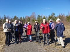Vem kan motstå vårsolen?