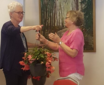18 maj Kåseri om pillertrillaren