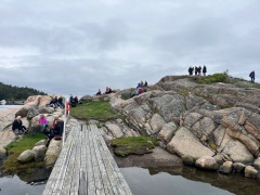 Röra 24 sept