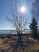 Från Kusten till Havet