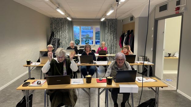 Webbutbildning