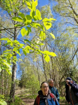 240507 Vandring Duveholm