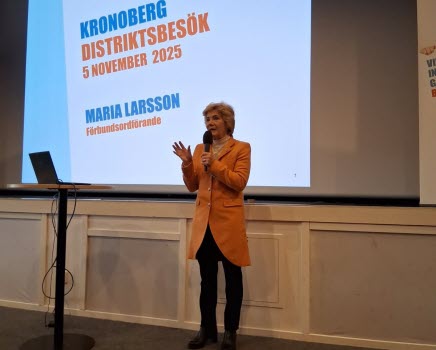 20251105 Ordförandekonferens