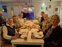 Promenadgänget avslutade med promenad i Bastasjö och lunch