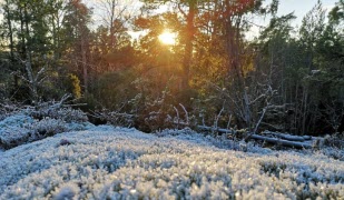 Ordföranden har ordet december 2024