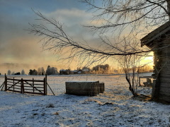 Ordförandebrev december 2025, med hjärtliga helghälsningar