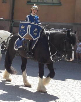 Gamla stan 180523