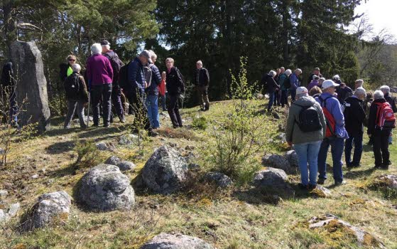 240503 Vandring vid Ålberga gård