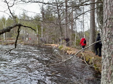 220408 Vandring runt sjön Skiren.