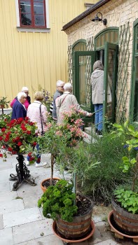 Caféutflykt till Ängbacka gård