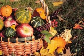 PROGRAM OKTOBER