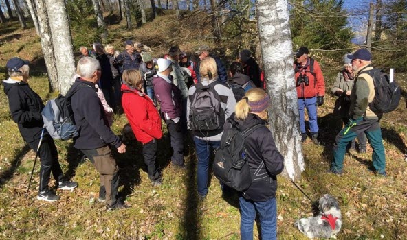 230504 Fågelskådning i Björkvik
