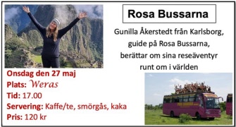 Rosa bussarna