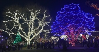 MÅNADSMÖTE tisdagen den 9 december kl. 14.00 i Pingstkyrkan på Wallingatan.