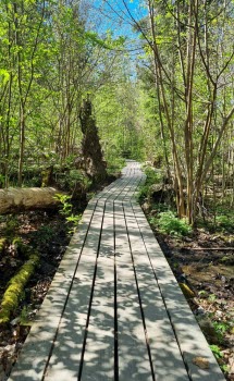 240507 Vandring runt Duveholmssjön