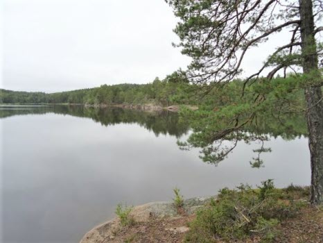 Vandring runt Ågelsjön