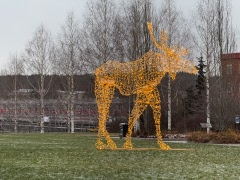 Vandra med SPF Guldstaden