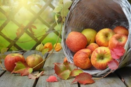 Nytt från VG Västradistriktet