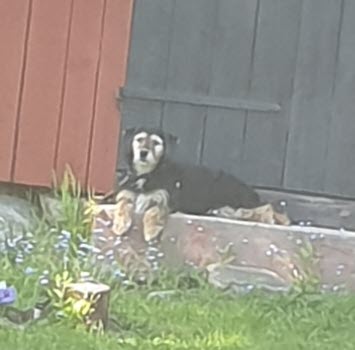 Vandring i Stenslanda