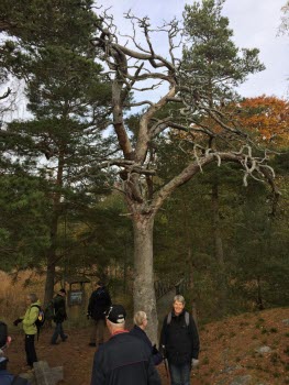 Vandring i Nävekvarn 20181019