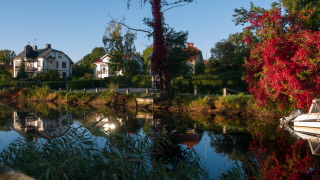 Nu är höstprogrammet för SPF Seniorerna Ronneby här!