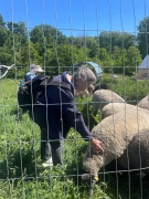 Rapport från besök Mosta