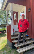 Tulpaner och klockor