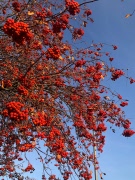 Kompletterat innehåll på medlemsträffen 27 november