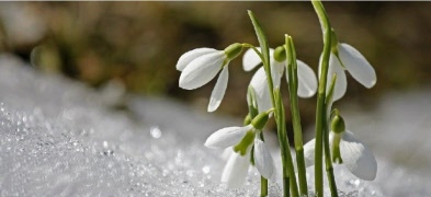 Kallelse stämmor 2026 samt förslag till dagordningar