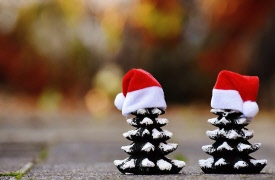 Information om julfest den 11 dec