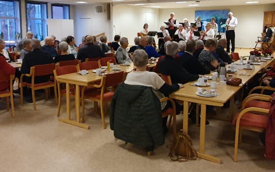 Julfest2024