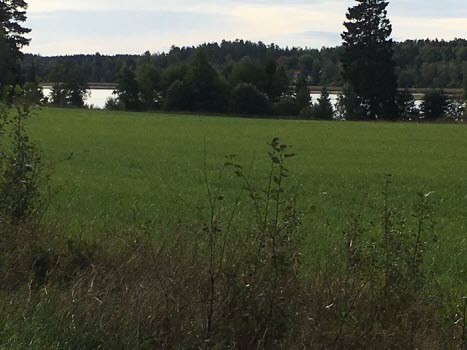 Vandring vid Sörby vid Bålsjön 190920