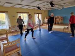 Kurs i Fallprevention