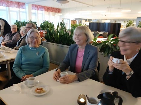 Årsmöte 2025-02-12