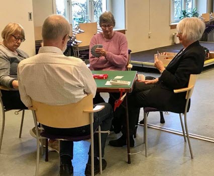 Bridge en fredag fm