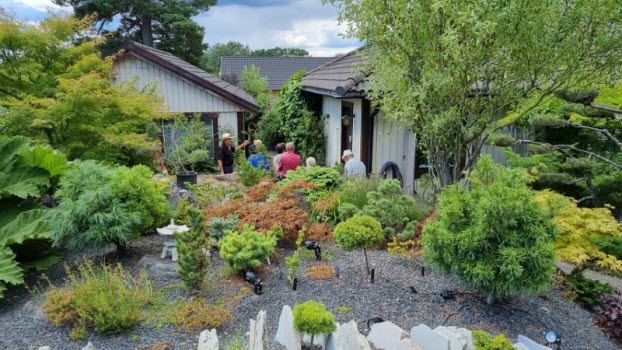 210804 Besök i japansk trädgård