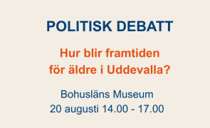 Politisk debatt