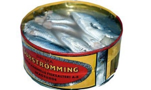 Surstömmingskalas den 7 september