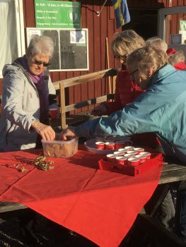 Vandring vid IK Tun 181116