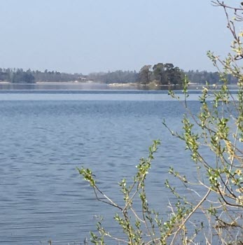 190426 Vandring vid Harhålet.