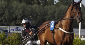 Lunchtrav 13 januari, 2026