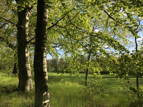 Vreta kloster sommarbilder