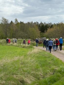 Vandring i Hökhult