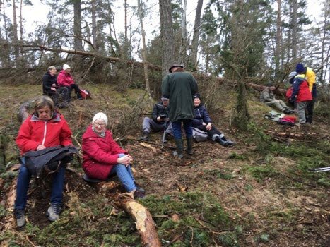 230414 Vandring vid Strandstuviken