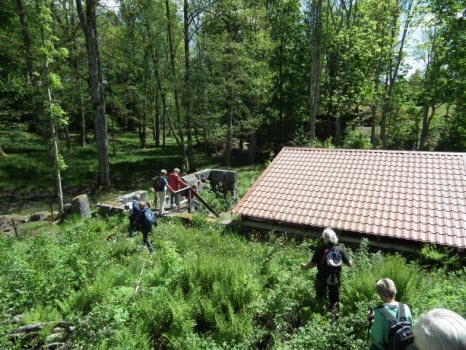Skönnarboleden