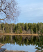 Vandra runt Lomtjärn