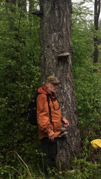 220520 Vandring vid Sjösakärren.