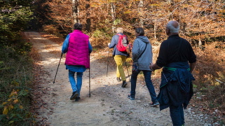 Rekommendationer om föreningars och distrikts aktiviteter - uppdaterat 12 maj 2021